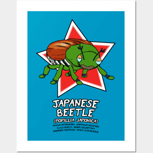 Popillia Japonica Posters and Art